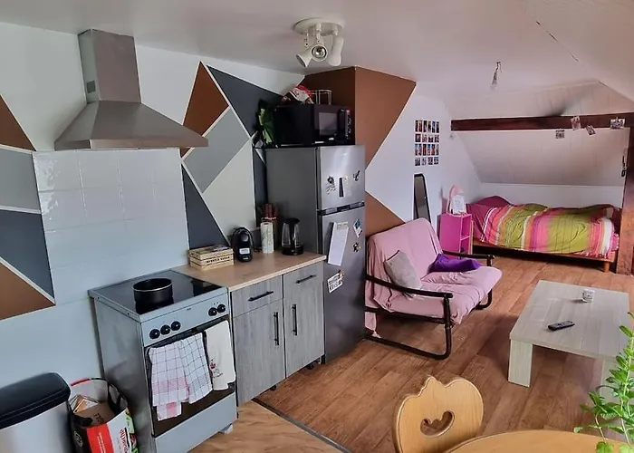 Studio Centre Ville Schirmeck